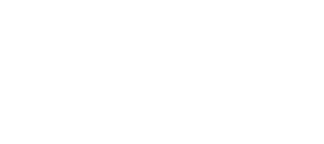 Logo Vizivir